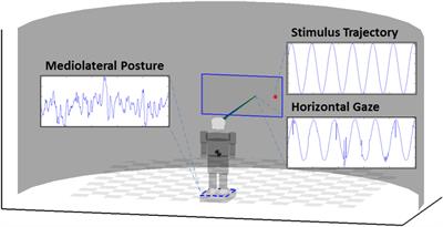 Orderliness of Visual Stimulus Motion Mediates Sensorimotor Coordination